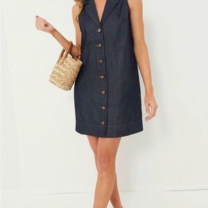 Sleeveless Denim Button-Down Dress NWT Tucknernuck